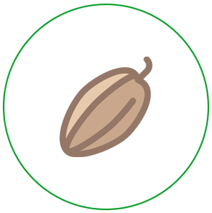 Icon of a cocoa bean in a green bordered circle