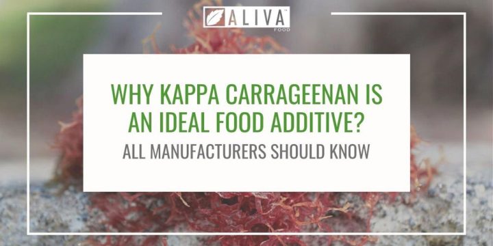 Why Kappa Carrageenan is an ideal food additive? All manufacturers should know