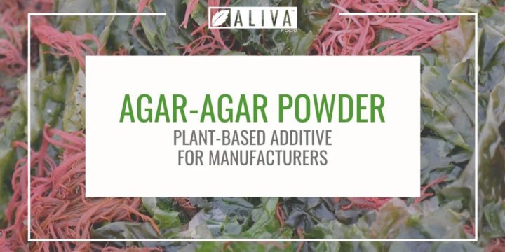 Agar-agar powder: plant-based additive for manufacturers